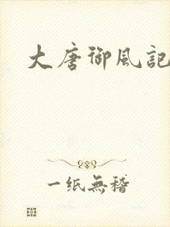 大唐御风记