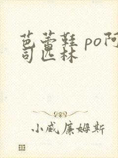 芭蕾鞋 po阿司匹林
