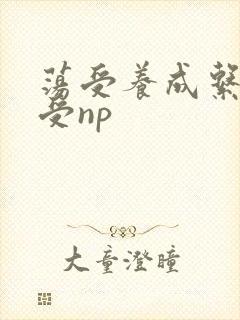 荡受养成系统总受np