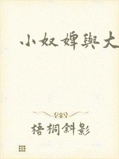 小奴婢与大少爷