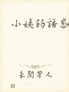 小姨的诱惑小说封面
