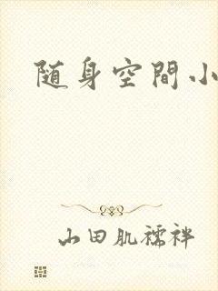 随身空间小说