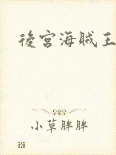 后宫海贼王