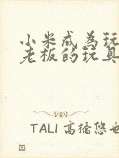 小米成为玩具店老板的玩具