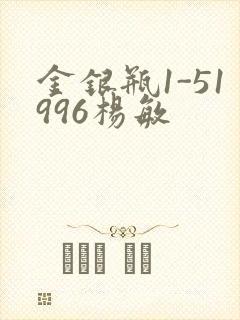 金银瓶1-51996杨敏封面