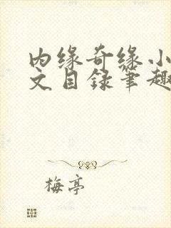 内缘奇缘小说全文目录笔趣阁封面