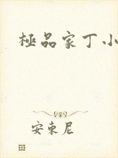 极品家丁小说