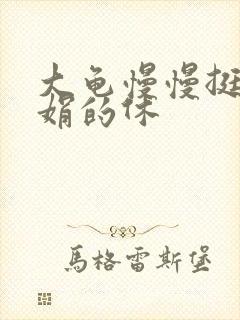 大龟慢慢挺进张娟的休