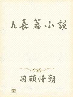 h长篇小说