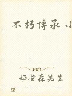 不朽传承 小说封面