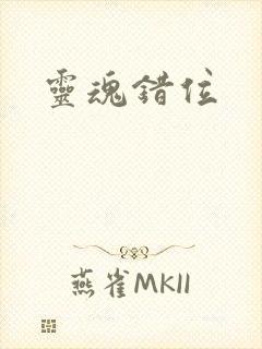 灵魂错位封面