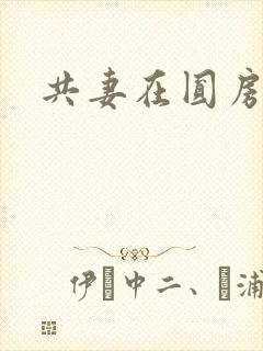 共妻在圆房3p