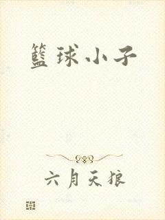 篮球小子