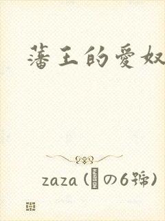 藩王的爱奴