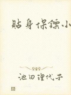 贴身保镖小说