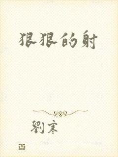 狠狠的射