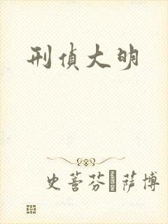 刑侦大明封面