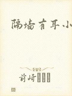 隔墙有耳小说