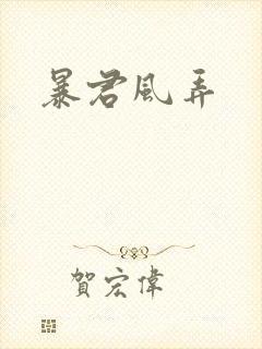 暴君风弄封面