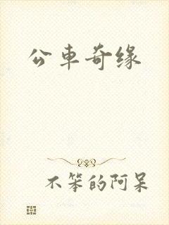 公车奇缘