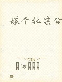 嫁个北宋公务员