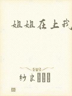 姐姐在上我在下