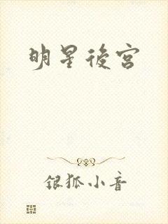 明星后宫