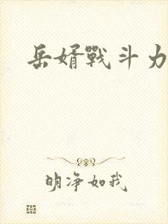 岳婿战斗力