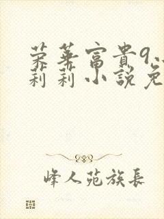 荣华富贵9小王莉莉小说免费阅读