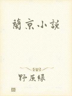 兰京小说封面