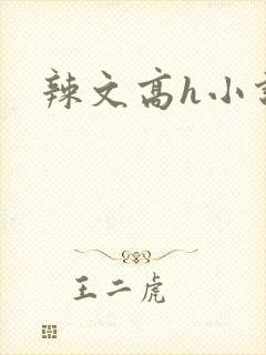 辣文高h小说