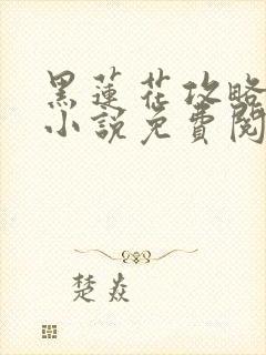 黑莲花攻略手册小说免费阅读封面