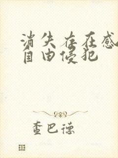 消失存在感消失自由侵犯封面