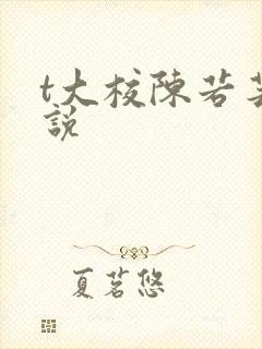 t大校陈若芸小说封面