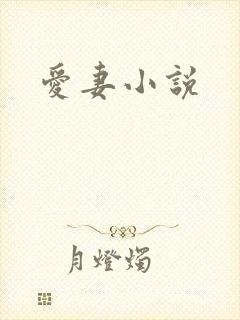 爱妻小说