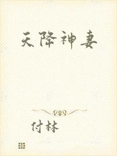 天降神妻封面