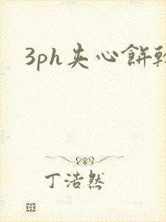 3ph夹心饼干