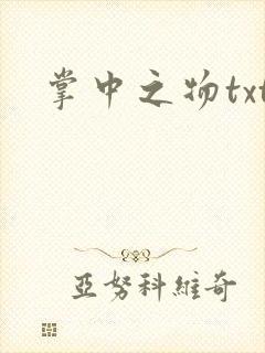 掌中之物txt