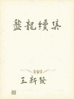 盘龙续集封面