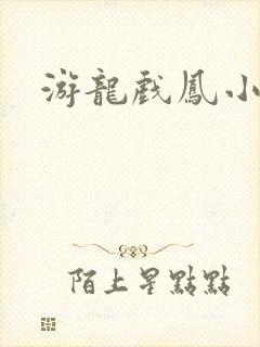 游龙戏凤小说