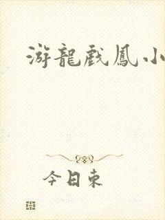 游龙戏凤小说封面