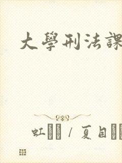大学刑法课