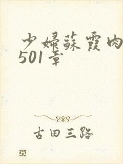 少妇苏霞肉欲第501章