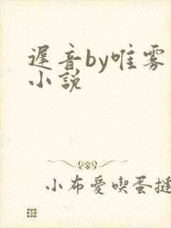 迟音by唯雾的小说