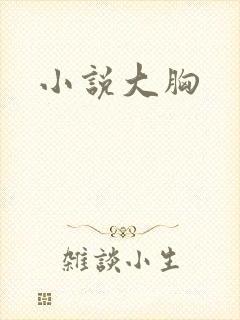 小说大胸封面
