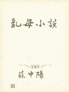 乱母小说封面