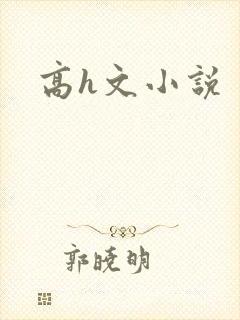 高h文小说