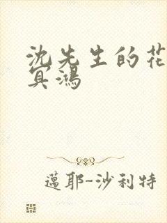 沈先生的花式调冥鸿