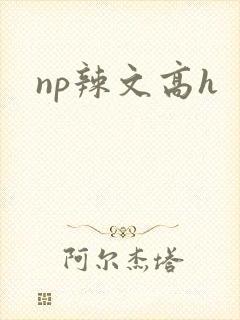 np辣文高h