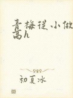 青梅从小做到大高h
